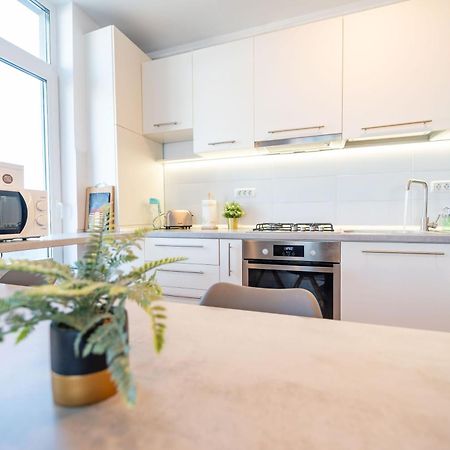 Modern Apollus Avenue - By Openhouse Apartments 蒂米什瓦拉 外观 照片