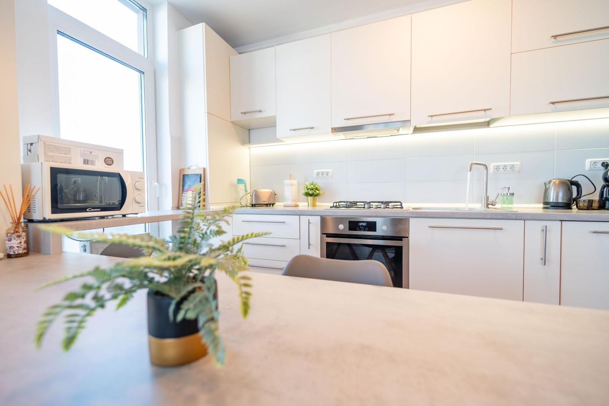 Modern Apollus Avenue - By Openhouse Apartments 蒂米什瓦拉 外观 照片