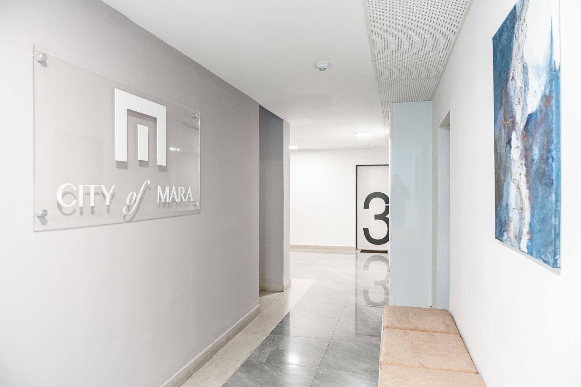 Modern Apollus Avenue - By Openhouse Apartments 蒂米什瓦拉 外观 照片